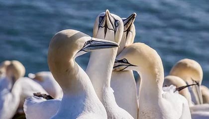 开云全站下载-赛事转播技术升级，虚拟现实带来沉浸式体验，转播赛事可以收费吗