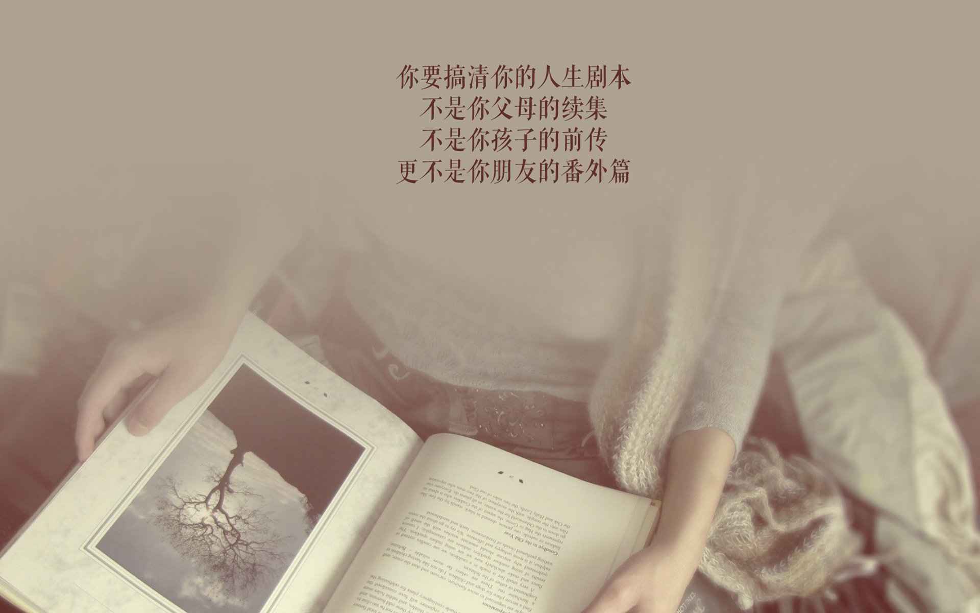 开云官网首页-托特纳姆热刺新援首秀精彩，球迷欢呼，托特纳姆热刺对