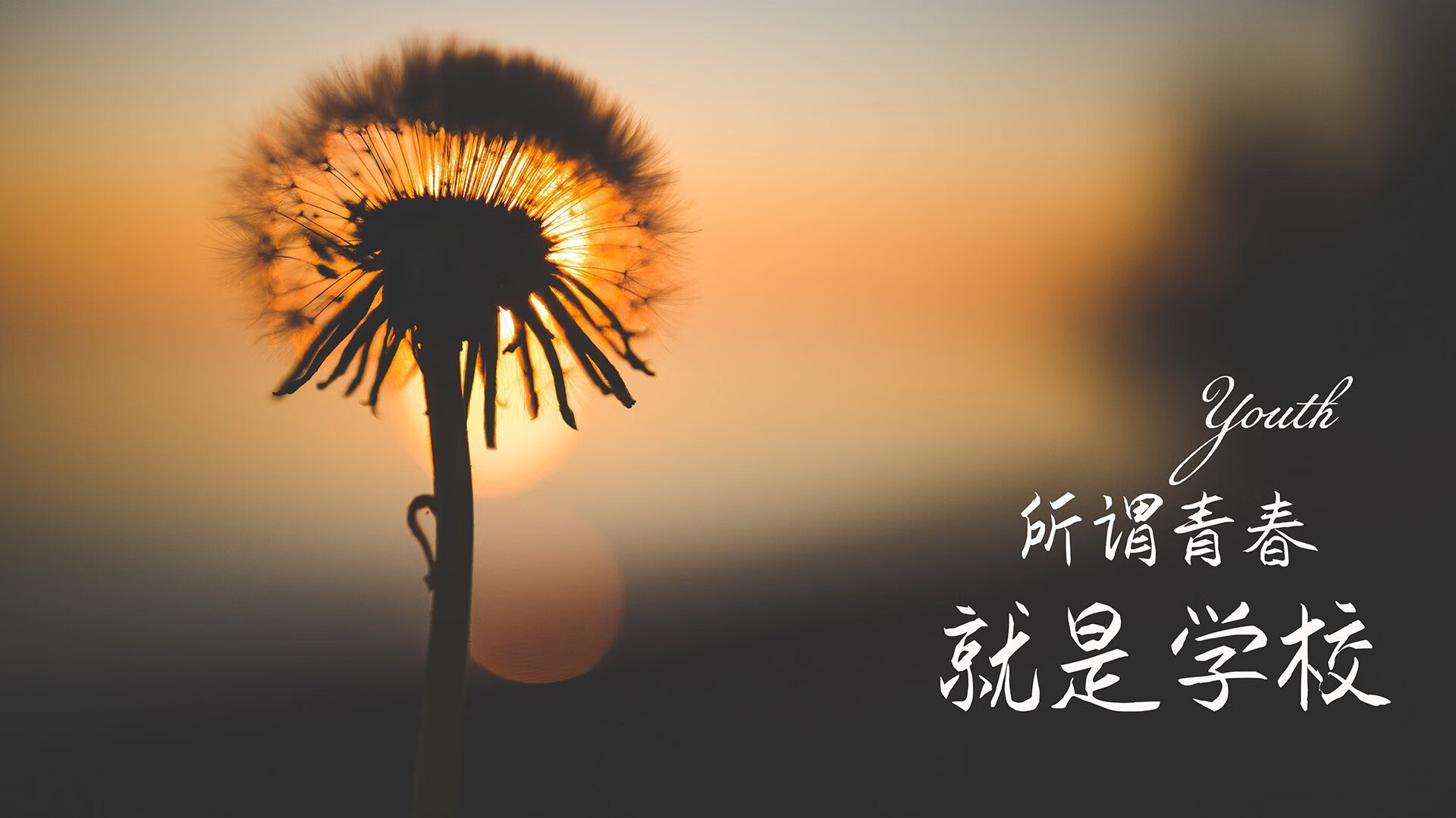 kaiyun开云·官方网站-特色足球文化产业园在全国多地落地，打造城市新名片，探寻足球城的底蕴