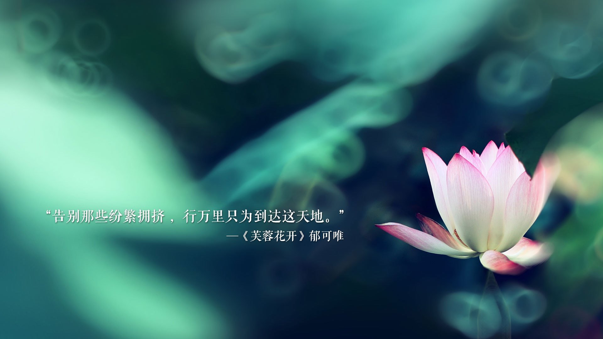 开云官方网页登录-NBA历史得分榜前三重新洗牌 超级巨星继续刷新纪录，nba历史得分榜前十名