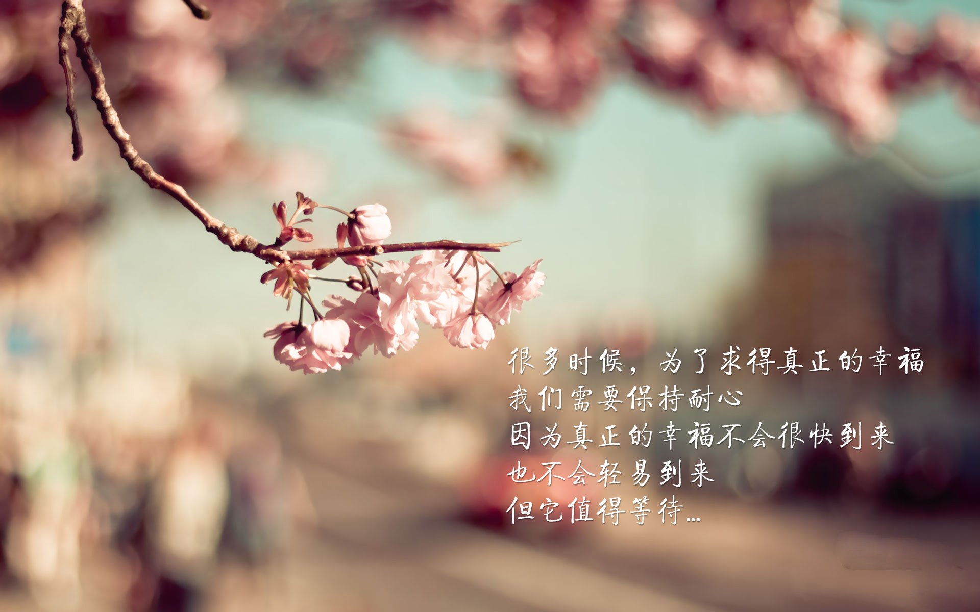 开云中国大陆-莱斯特城主场对阵布莱顿，哈维·巴恩斯是否能够创造进球机会？
