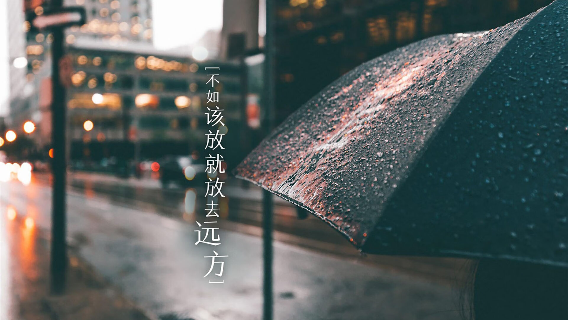 开云官方网页登录-萨索洛主场-击败都灵，贝里亚尔进球助攻领衔，萨索洛vs贝内文托