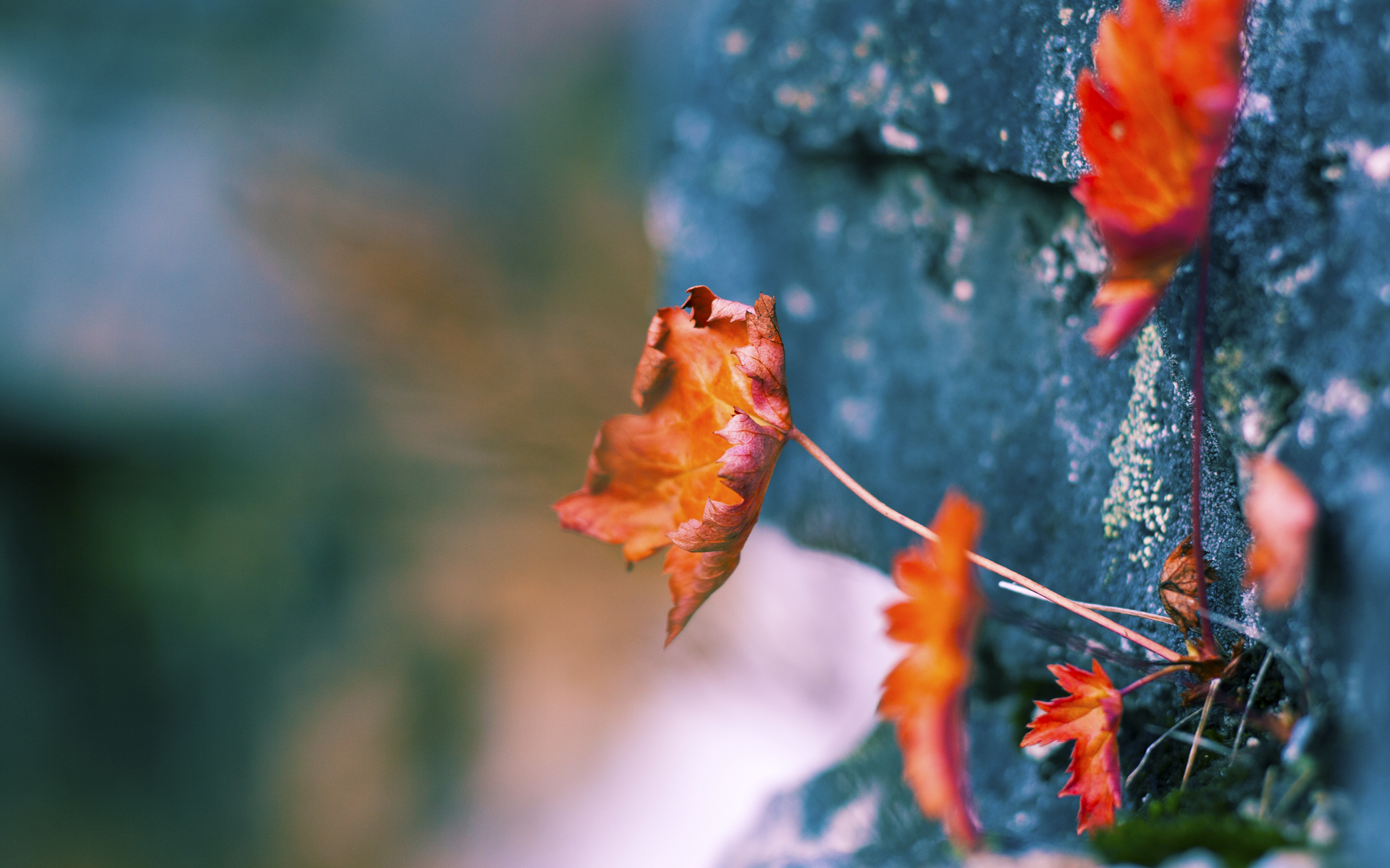 开云APP-奥预赛中国队晋级 球迷士气大受鼓舞,2020奥预赛分组