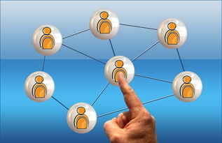 开云网站-新加坡队赛制评析:通过赛制创新提升整体比赛表现,新加坡联赛什么水平