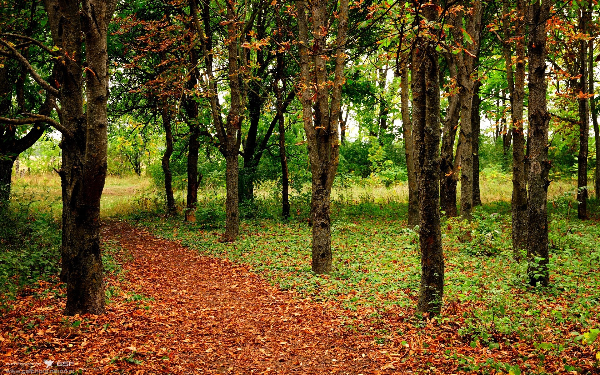 开云网页版-澳大利亚队勇战国际乒联混合团体世界杯：表现分析与前景展望，乒乓球澳大利亚队