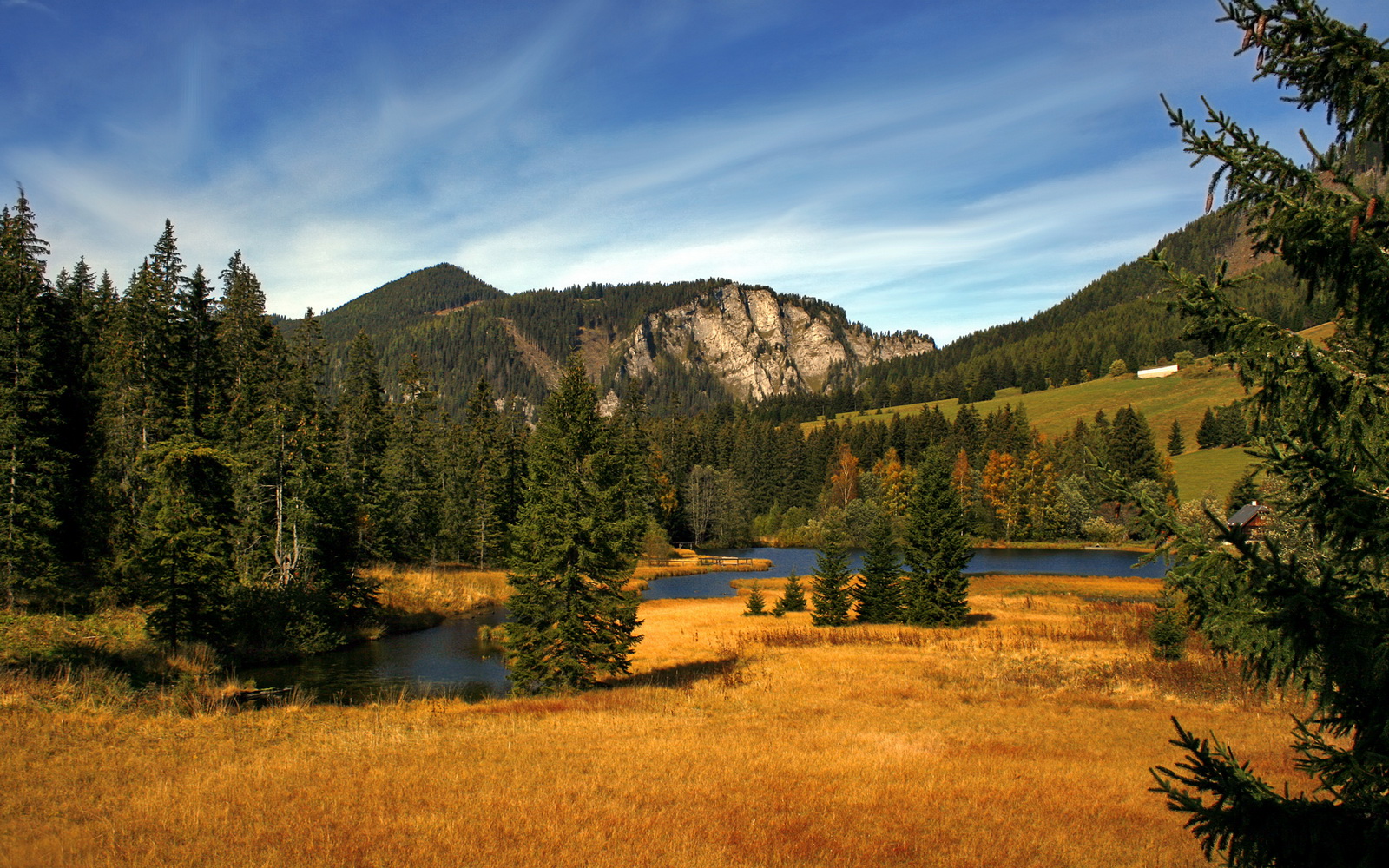 开云官网登录-美国队在国际乒联混合团体世界杯中的全面表现回顾,美国乒乓球世锦赛