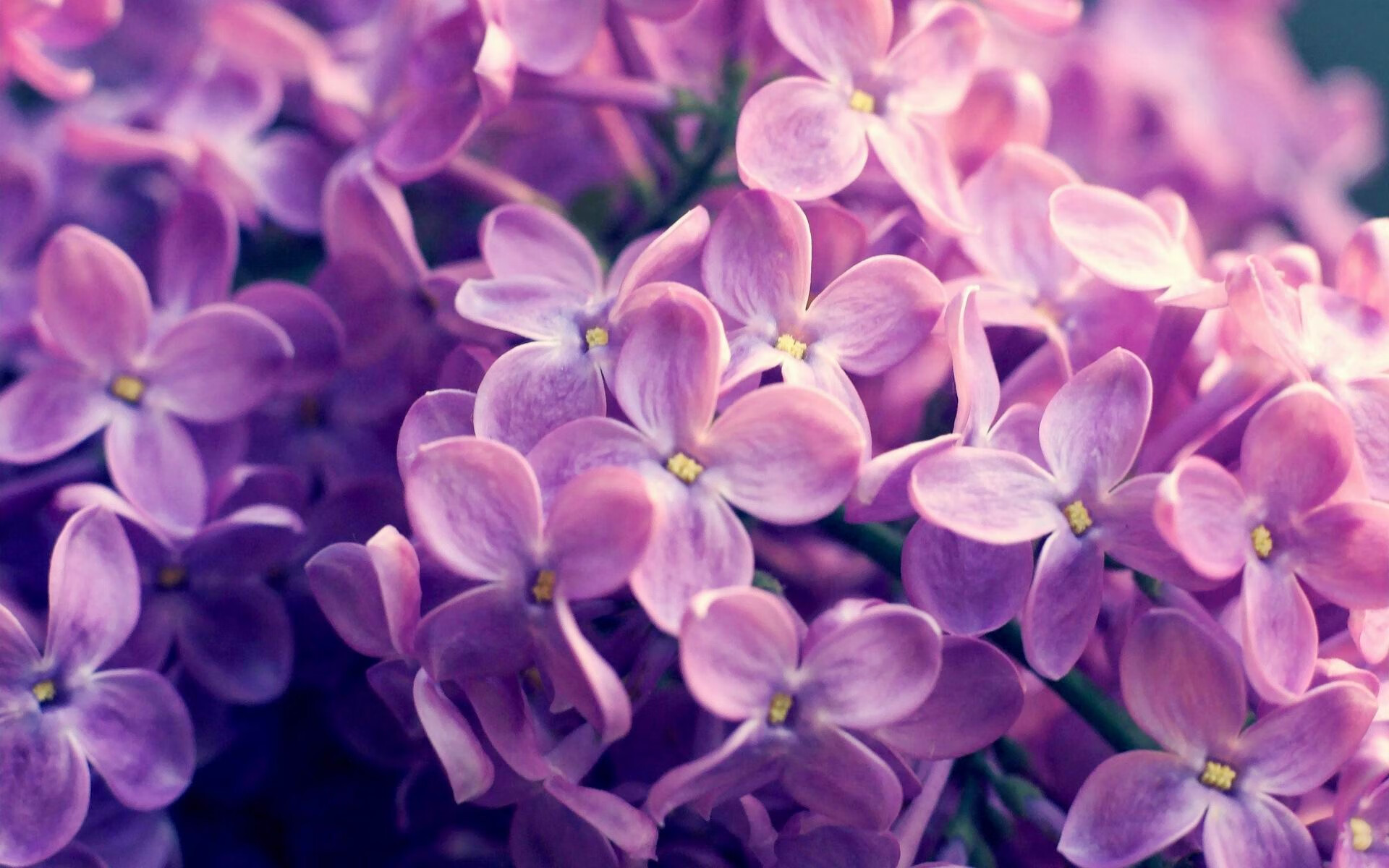 kaiyun中国官方网站-轻艇马拉松奖项升级，精英角逐再加码，赛艇马拉松