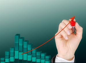 开云网站-体育公益项目影响力持续扩大，体育公益组织