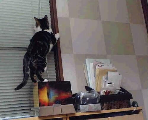 开云kaiyun-新闻中心发布最新足球裁判尺度统一说明，足球裁判判罚规则