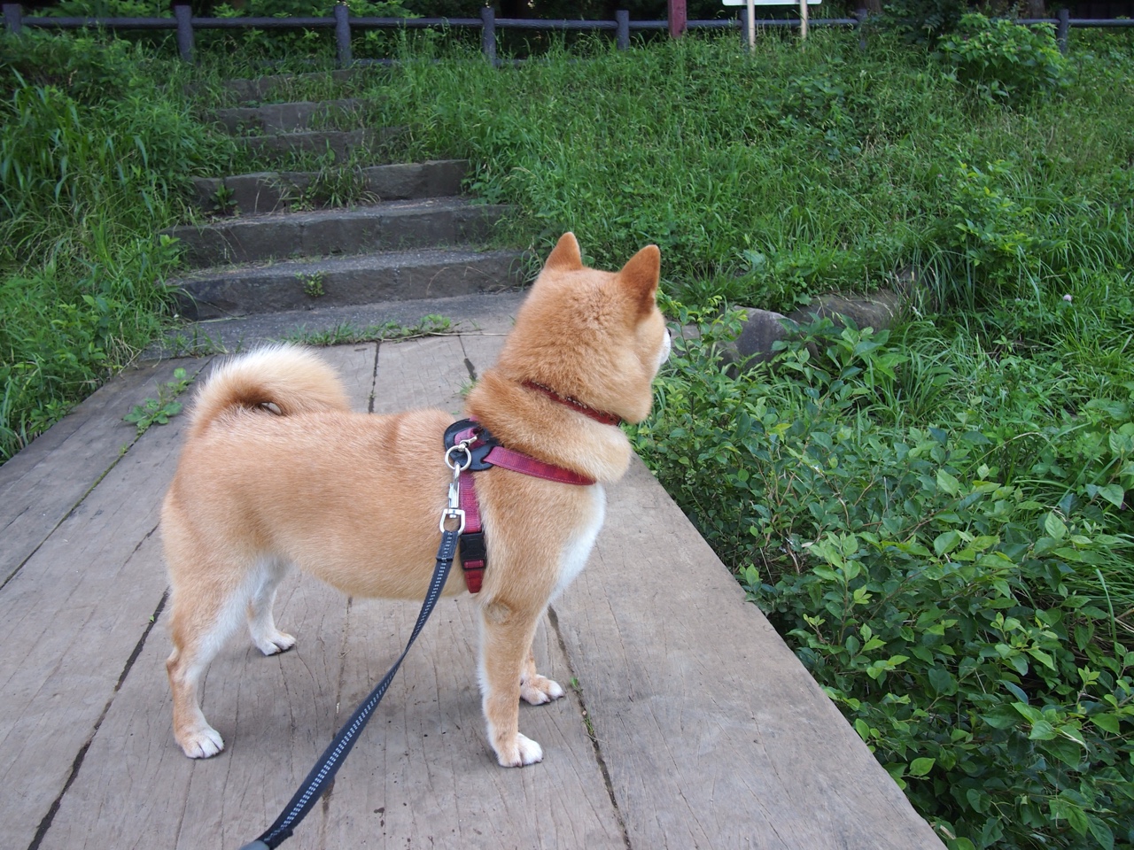 开云体育在线赛事直播-欧洲杯变阵出奇：战术变换，奇迹不断！，欧洲杯探讨